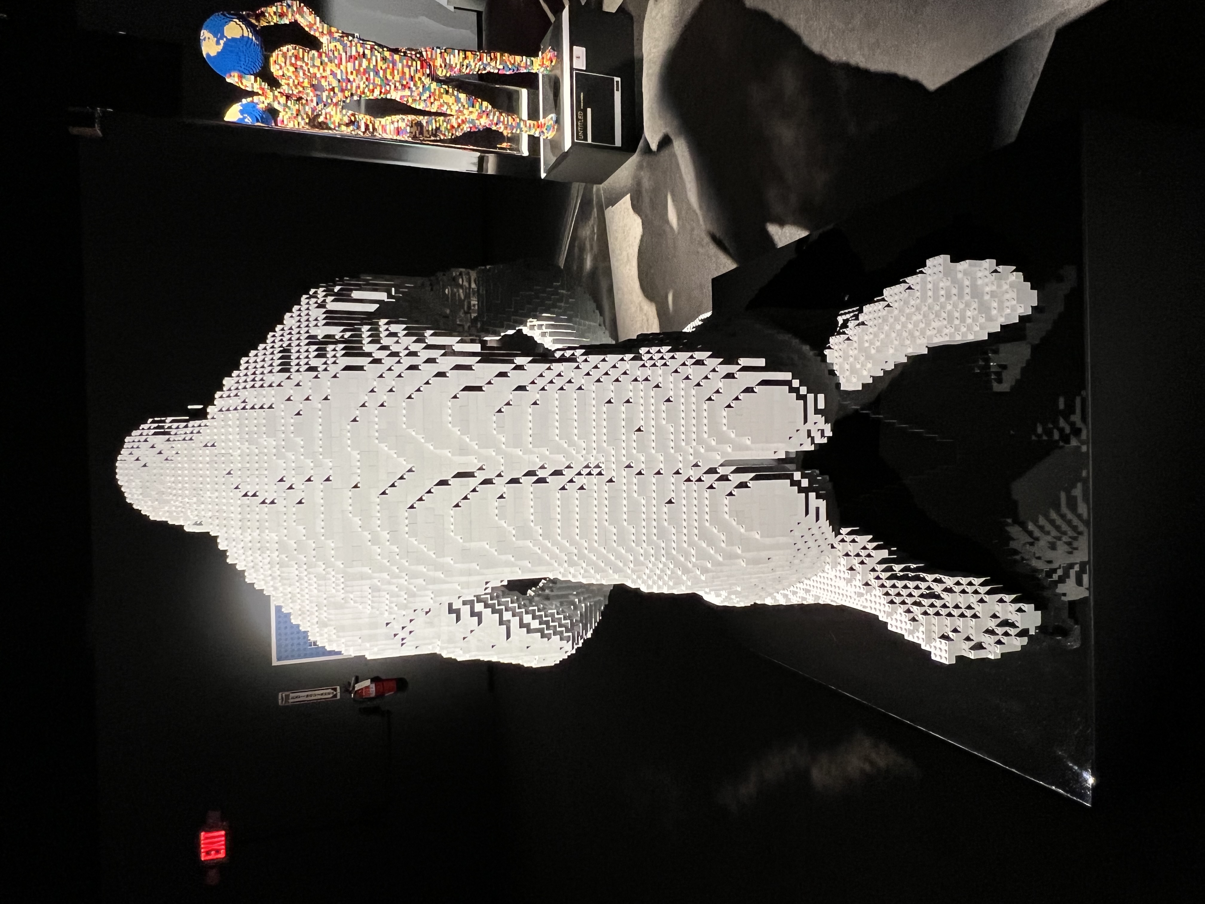 ./2023/07 - Art of the Brick/IMG_9533.JPG